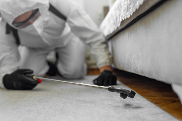 Professional Cockroach Control technician working in Mentone, CA